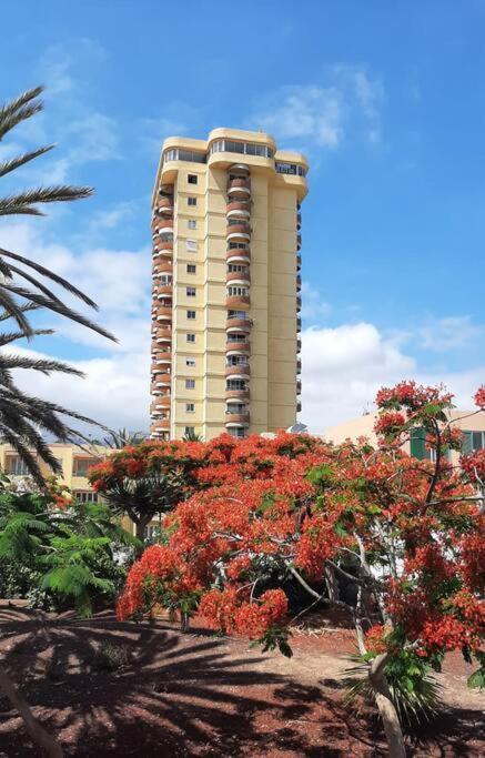 Estudio Coqueto Torres Del Sol Arona  Εξωτερικό φωτογραφία